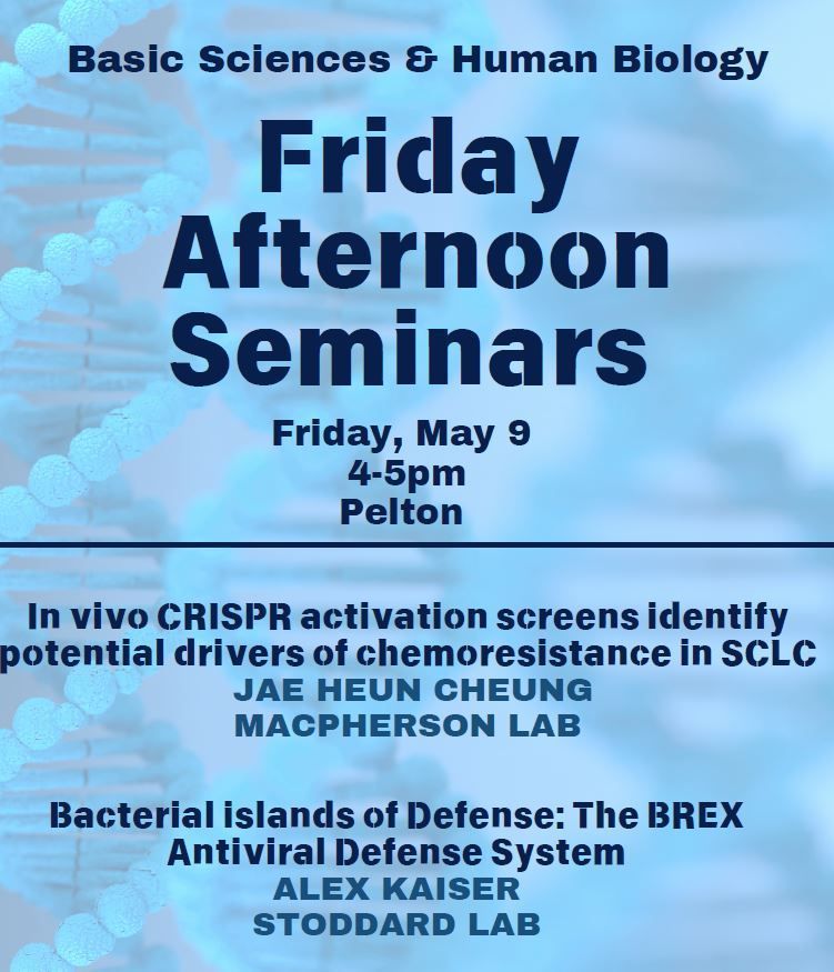 Friday Afternoon Seminars (FAS), this Friday 5/9 at 4pm in Pelton.
 
Alex Kaiser, Stoddard Lab
Bacterial islands of Defense: The BREX Antiviral Defense System
 
Jae Heun Cheung, MacPherson Lab
In vivo CRISPR activation screens identify potential drivers of chemoresistance in SCLC