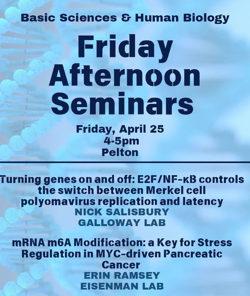 Friday Afternoon Seminars (FAS), this Friday 4/25 at 4pm in Pelton.
 
Nick Salisbury, Galloway Lab
Turning genes on and off: E2F/NF-κB controls the switch between Merkel cell polyomavirus replication and latency
 
Erin Ramsey, Eisenman Lab
mRNA m6A Modification: A Key for Stress Regulation in MYC-driven Pancreatic Cancer
