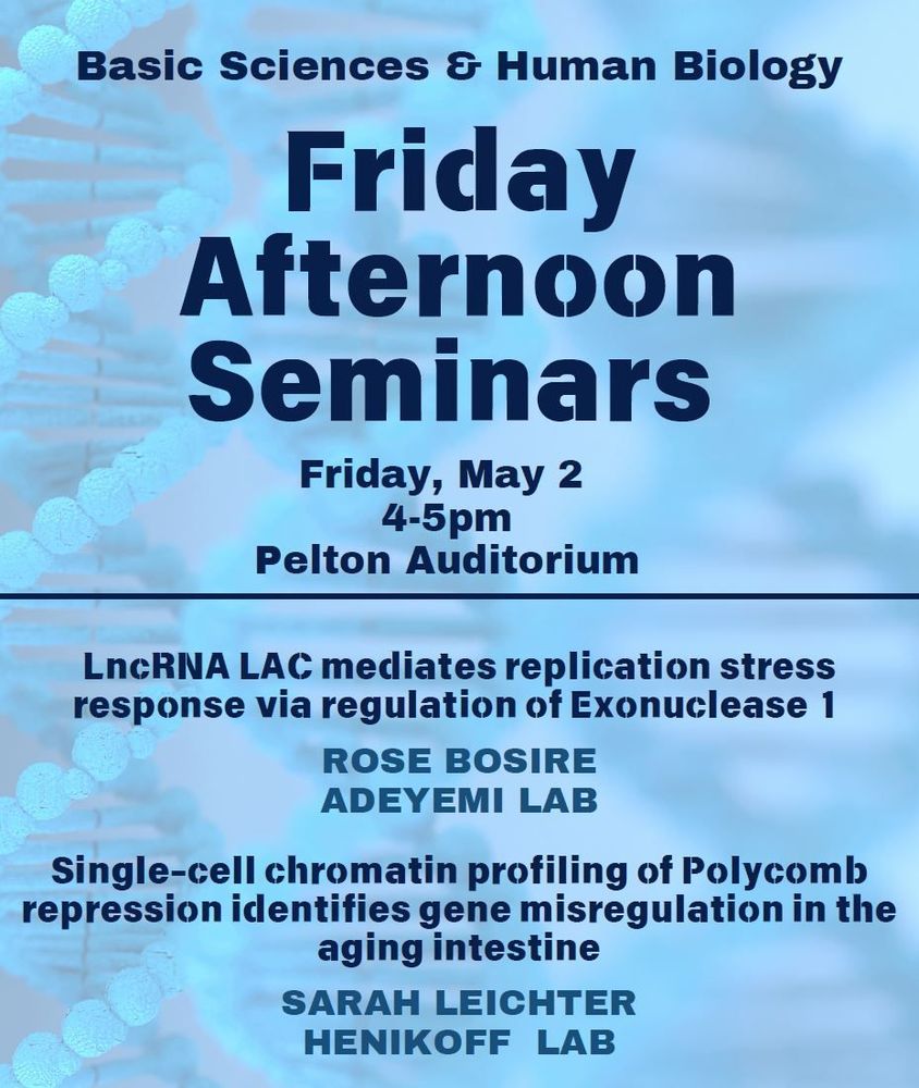 Friday Afternoon Seminars (FAS), this Friday 5/2 at 4pm in Pelton.
 
Rose Bosire, Adeyemi Lab
LncRNA LAC mediates replication stress response via regulation of Exonuclease 1
 
Sarah Leichter, HenikoffLab
Single-cell chromatin profiling of Polycomb repression identifies gene misregulation in the aging intestine
