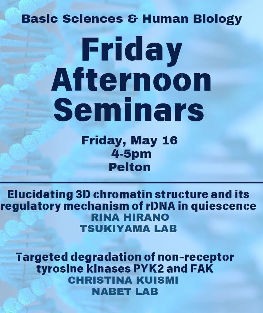 Friday Afternoon Seminar (FAS), this Friday 5/16 at 4pm in Pelton.
 
Rina Hirano, Tsukiyama Lab
Elucidating 3D chromatin structure and its regulatory mechanism of rDNA in quiescence
 
Christina Kuismi, Nabet Lab
Targeted degradation of non-receptor tyrosine kinases PYK2 and FAK
