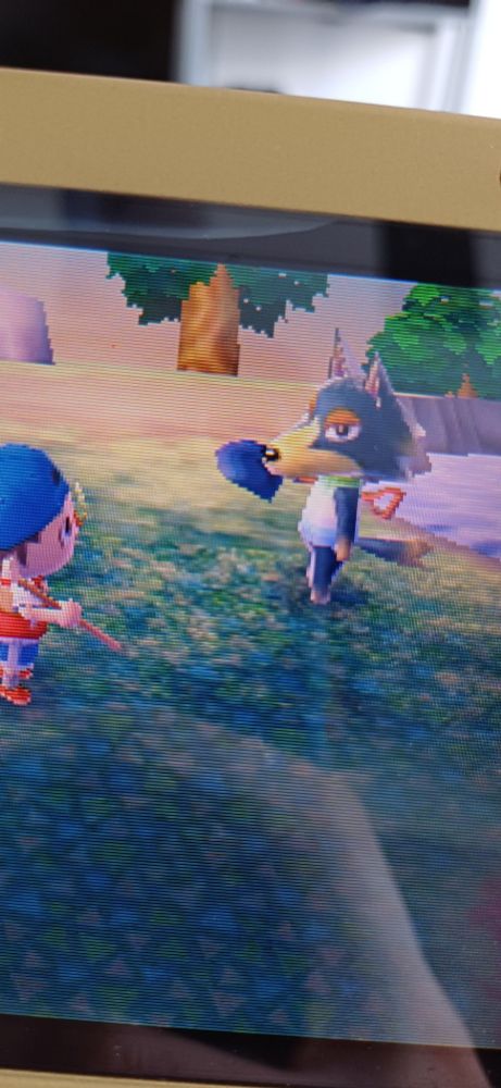 Wolfgang wearing a gay mlm pride shirt 