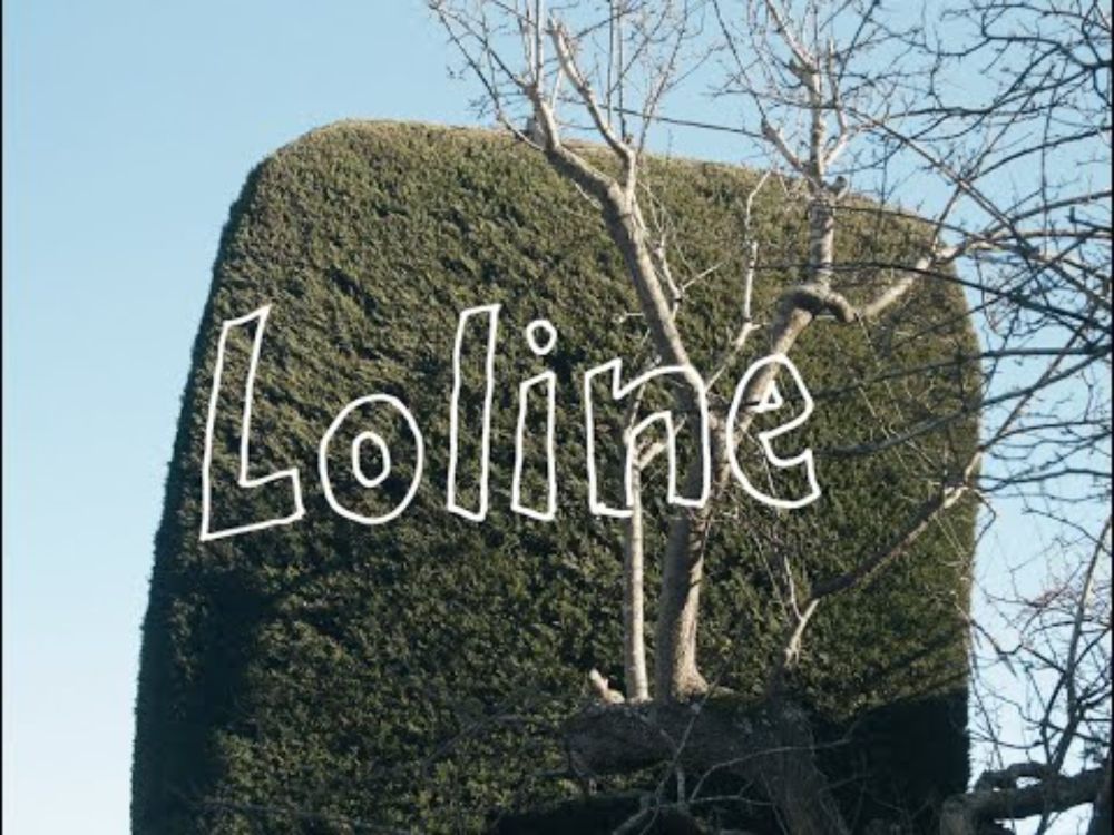 The Bats - Loline (Official Music Video)
