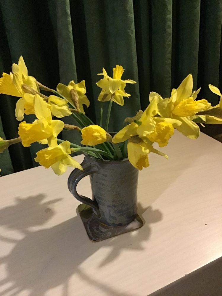 Vase of daffodils