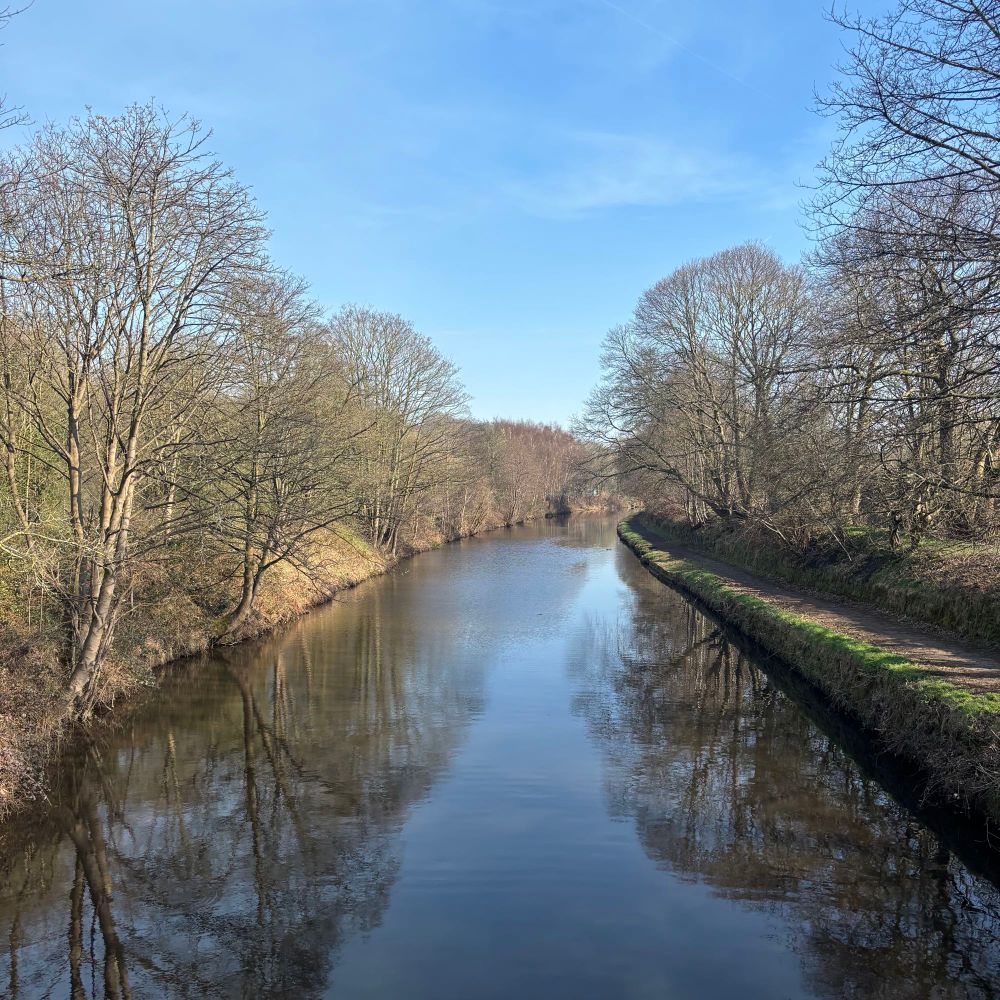 A view of a canal flanked by bare trees on a sunny day.