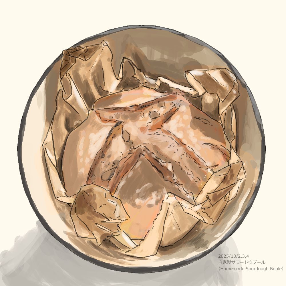 自家製サワードウブールのイラスト　Homemade Sourdough Boule