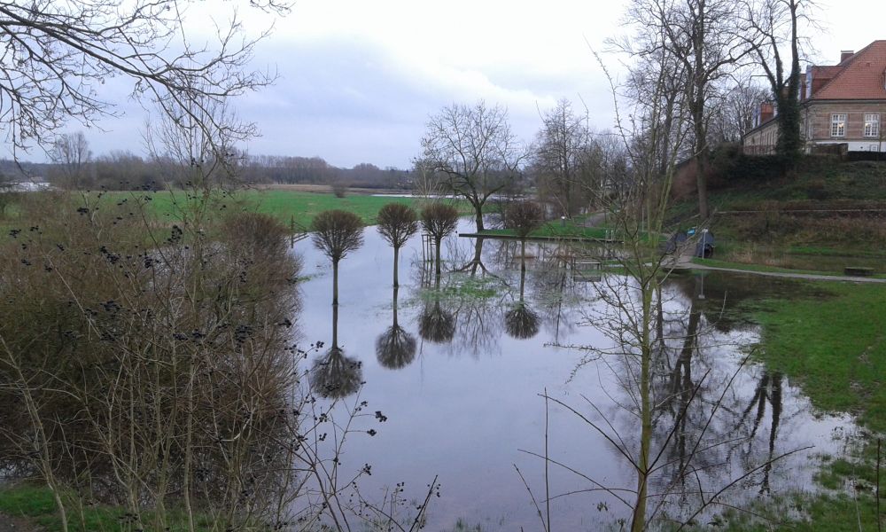Eine überflutetet Wiese. In der Bildmitte steht eine Reihe von vier Bäumchen, deren Stämme und Kronen sich im Wasser spiegeln. Rundherum spiegeln sich weitere Bäume und Büsche. Alle sind ohne Laub