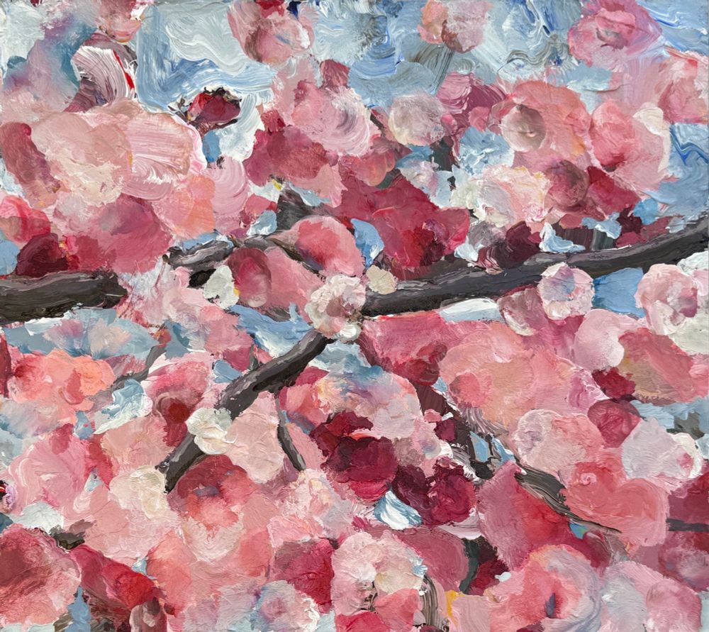 Up close view of a flowering bough
