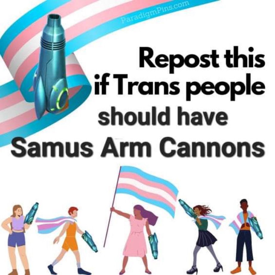An image of five people waving the trans flag with large black text that says “Repost this if Trans people should have Samus Arm Cannons.”