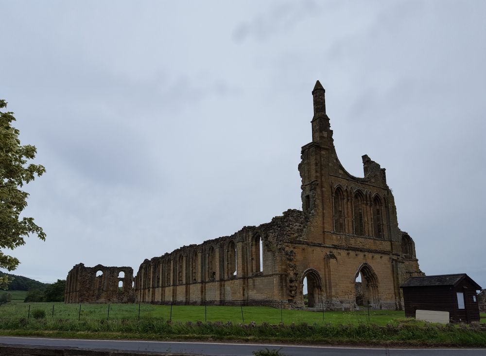 Byland Abbey (England)