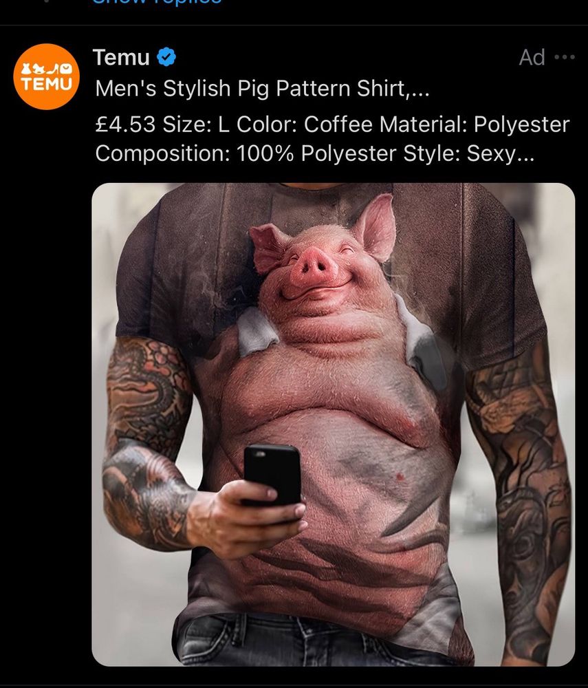 temu ad on twitter for a shirt with a massive pig in a sauna 