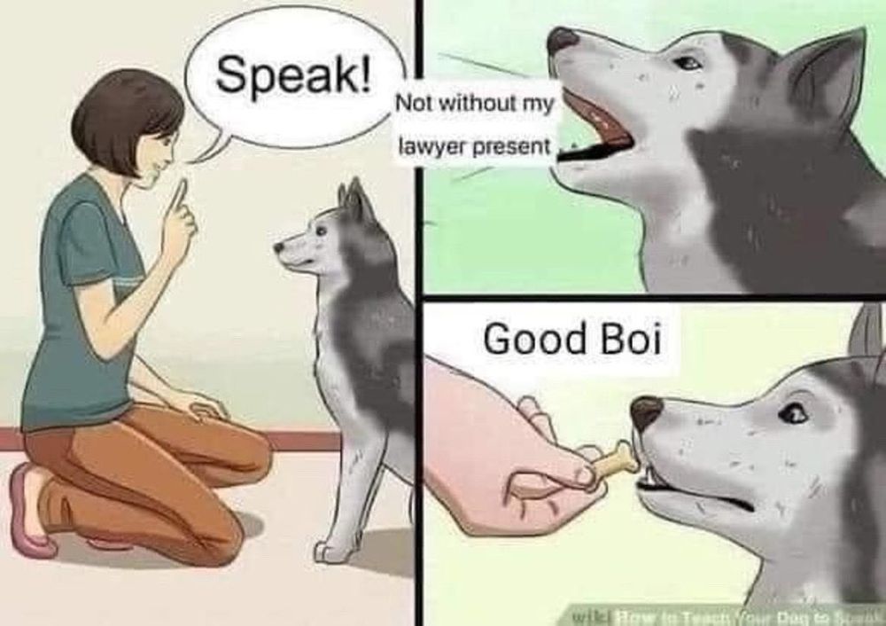 Dog rewarded with a treat for refusing to speak to police without a lawyer present. 