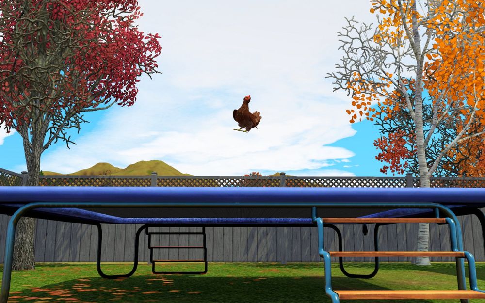 a chicken on a trampoline