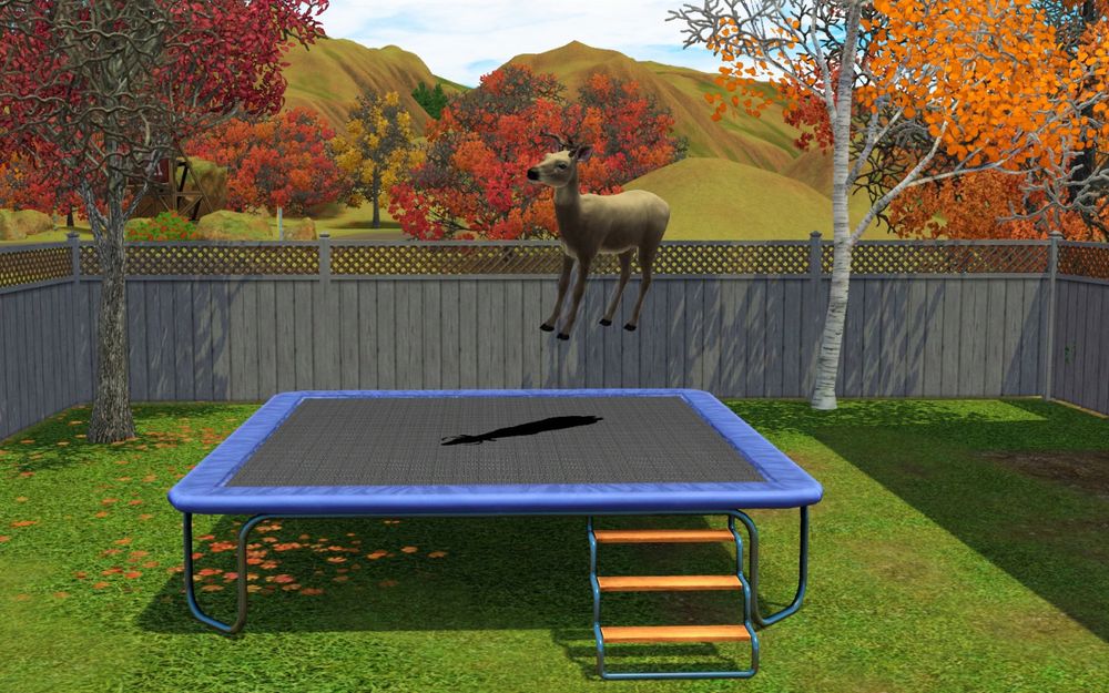 A deer on a trampoline