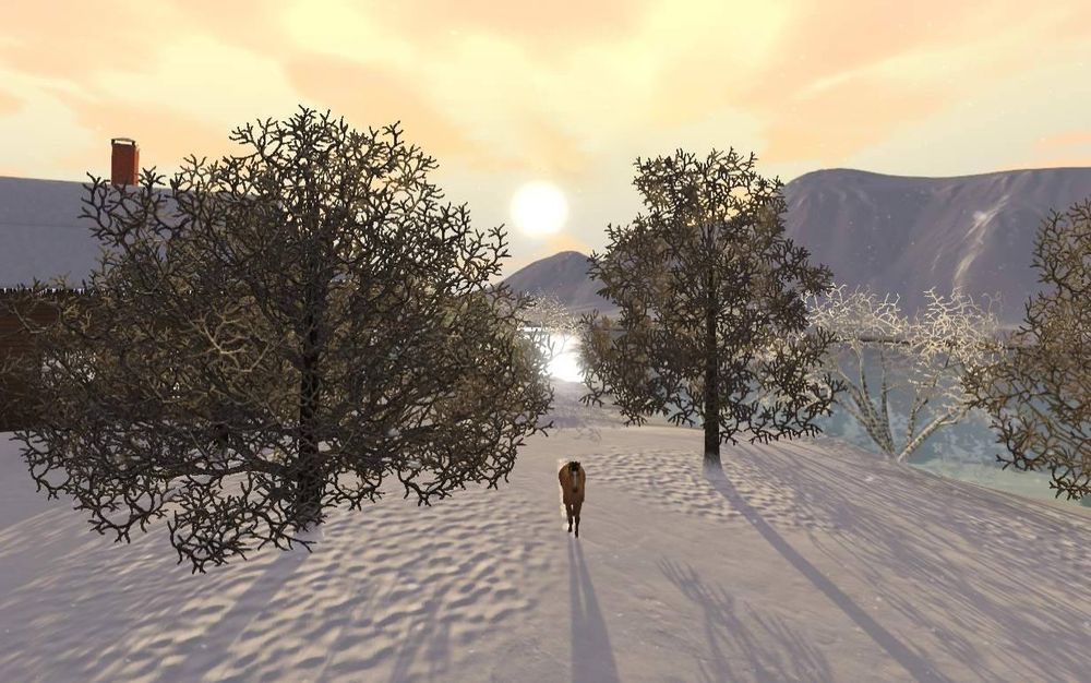 Appaloosa Plains at dawn