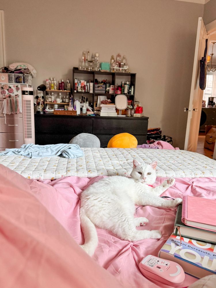 a white cat lies on a bed covered in a pink comforter 