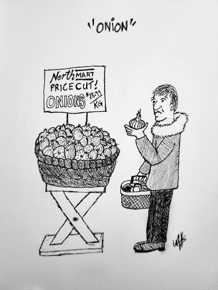 A black and white ink and pencil sketch of a man wearing a parka. He is holding a shopping basket in one hand and an onion in the other. He is looking upon the onion with a sad face. Beside him is a basket full of onions on a stand. There is a sign above the basket that reads "Northmart PRICE CUT! ONIONS $18.99/KG"
