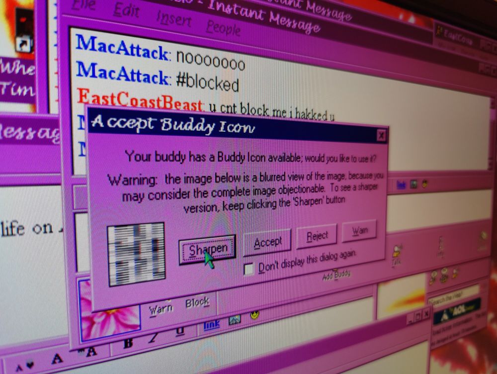 Buddy icon acceptance screen in AOL instant messenger. 