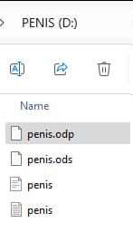 Segment of a screenshot of Windows Explorer, containing the volume label "PENIS (D:)" with a list of four files, "penis.odp" "penis.ods" "penis.rtf" and "penis.txt
