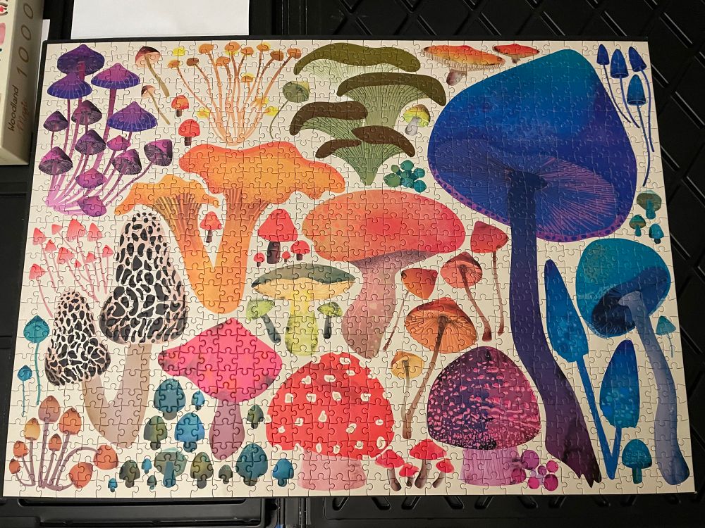 1000-piece jigsaw puzzle “Woodland Magic” by Elena Essex, featuring a variety of mushrooms in watercolor, including morels, fly agaric, and violet webcap. 