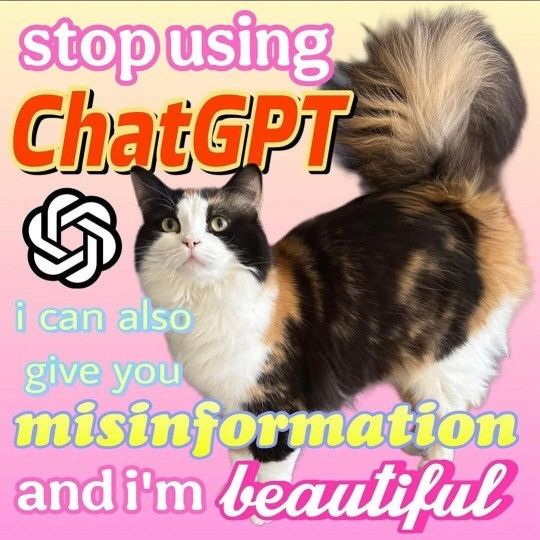 A long haired calico cat looks up with a pastel shaded background going yellow to pink. Every two words has another word art to it. First pink and white. Second red and yellow. Third cyan blue and very light green. Yellow and blue for the fourth and last one is pink and white again with the emphasis on the last word. The phrase says : stop using chat GPT. I can also give you misinformation and I'm beautiful.