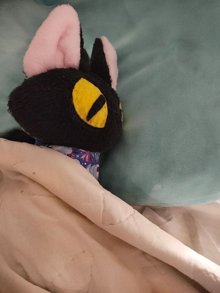 Miss L cat plush cosy under a quilt, resting her head on a light blue pillow