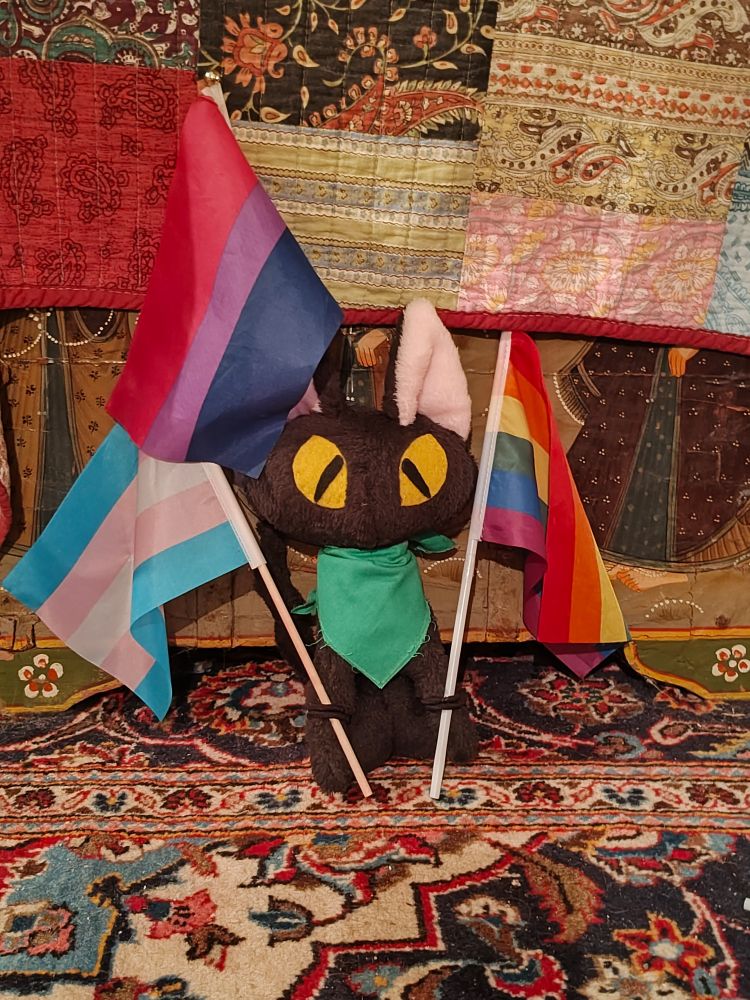 Image of Miss L's cat plush with a rainbow pride flag, trans pride flag, and bisexual pride flag