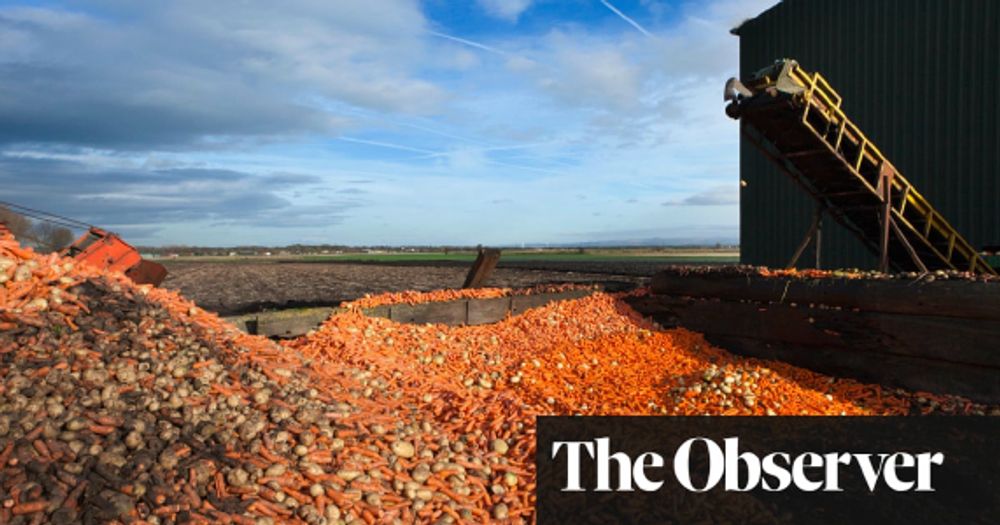 Force companies to report their food waste, say leading UK retailers