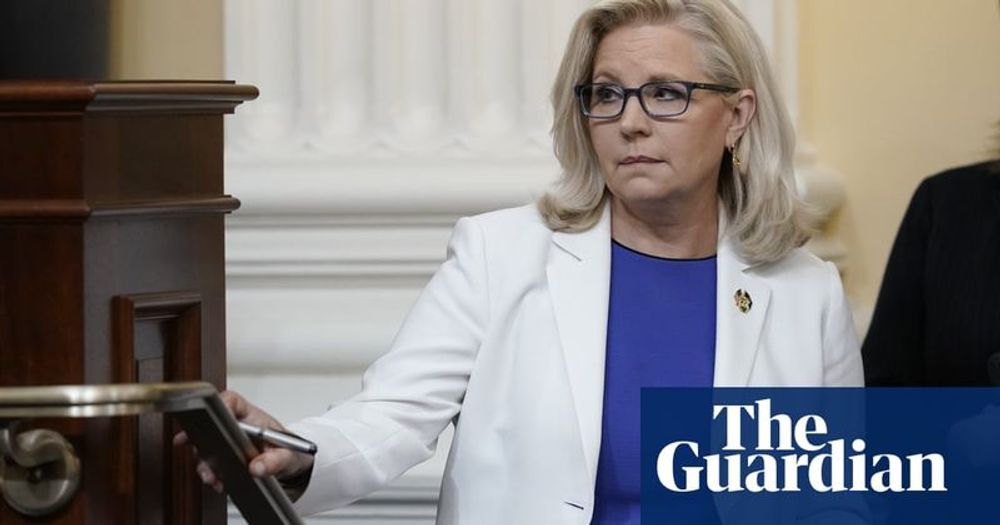 Liz Cheney hopes for Democratic win with US ‘sleepwalking into dictatorship’