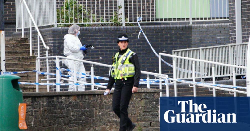 ‘That’s one way to be a celebrity,’ girl said after school stabbing in Wales, court told