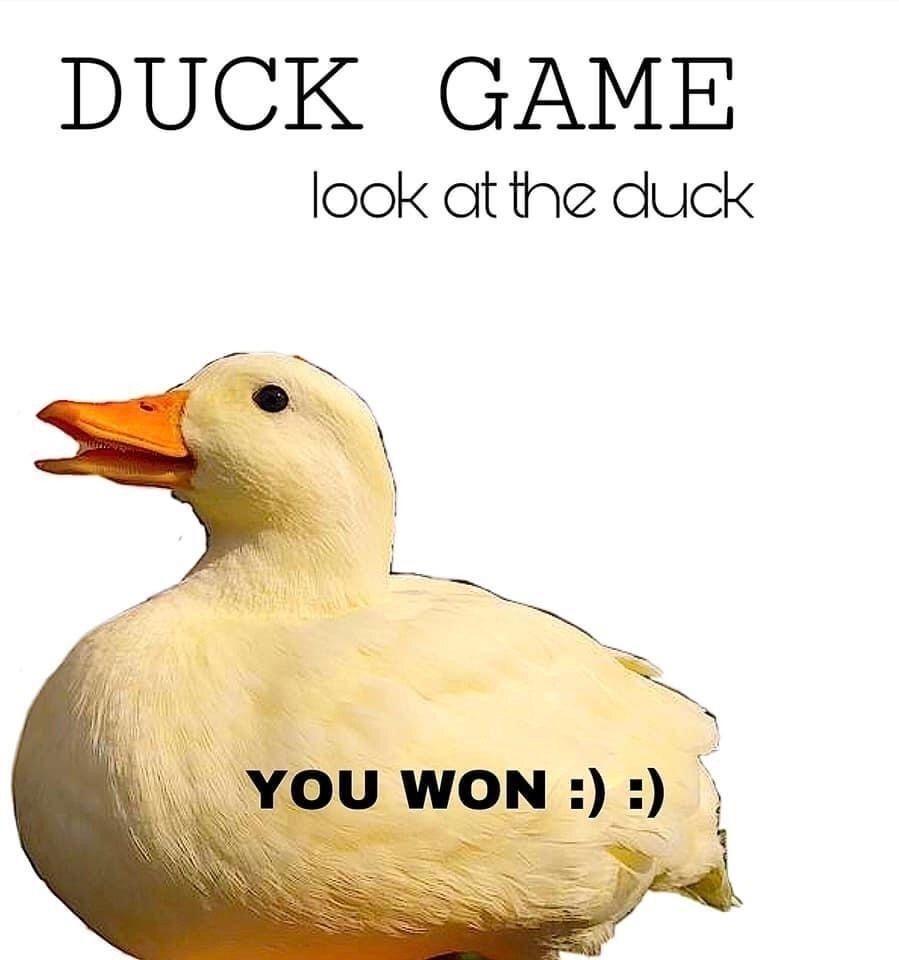 Duck game

Look at the duck

A picture of a duck

You won :) :)