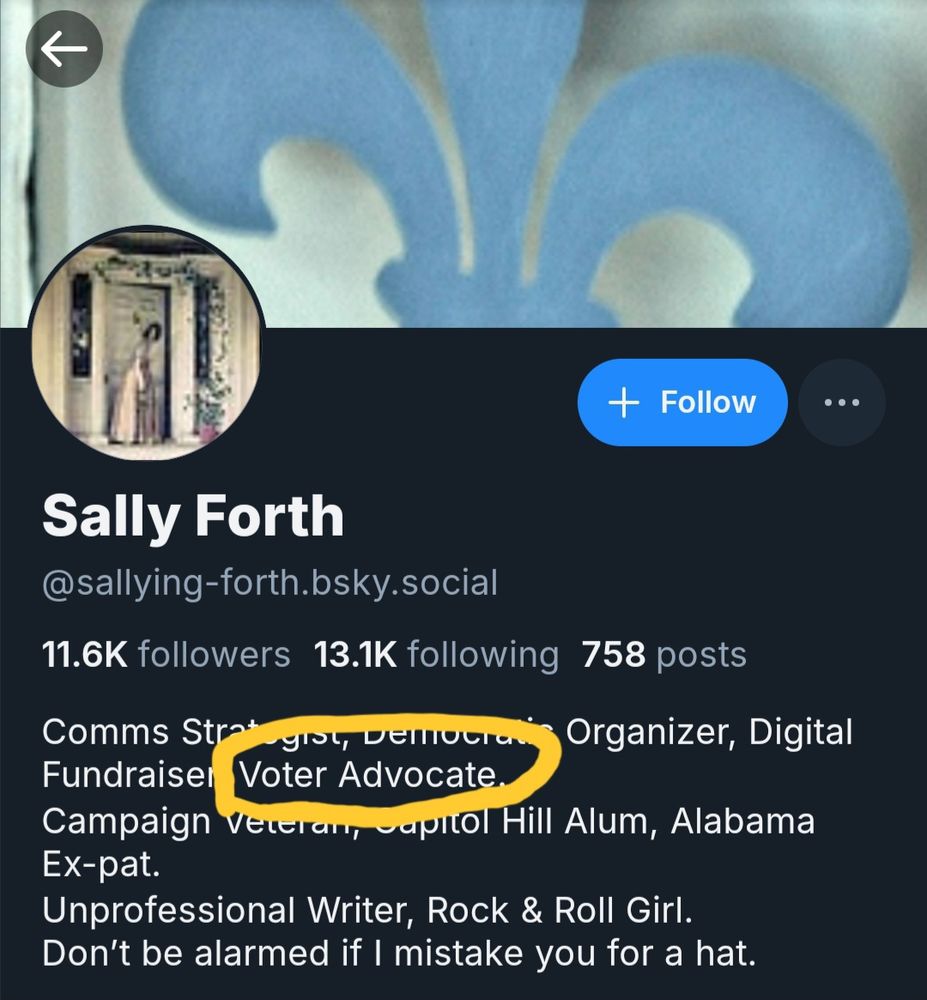 Image of OP's profile, highlighting "voter advocate" in their bio.