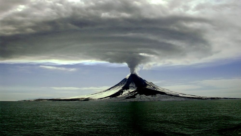 Testing social media manager.