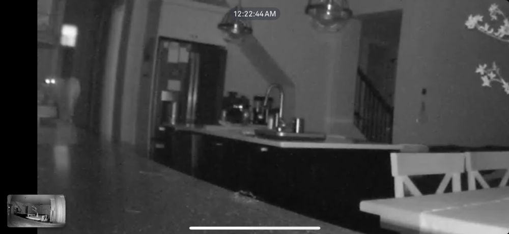 nightvision view of bunny standing on the stove, her eyes lit up like a cryptid