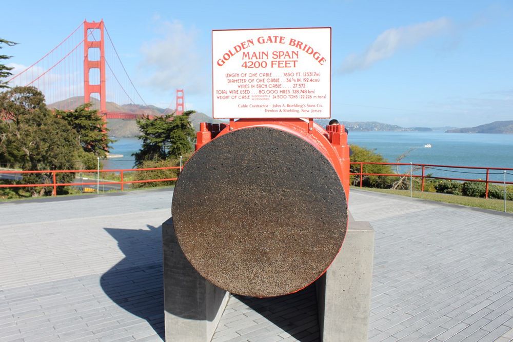 Displayed cross section of a cable from the Golden Gate Bridge.