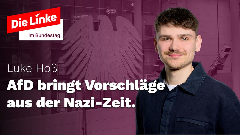 Die Linke im Bundestag

Luke Hoß
AfD bringt Vorschläge aus der Nazi-Zeit