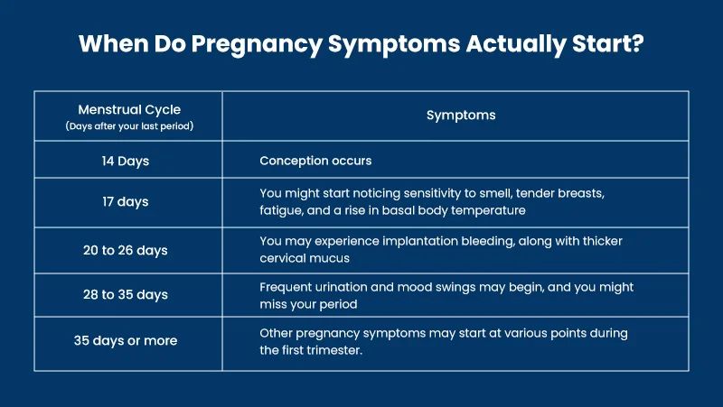 Pregnancy Symptoms