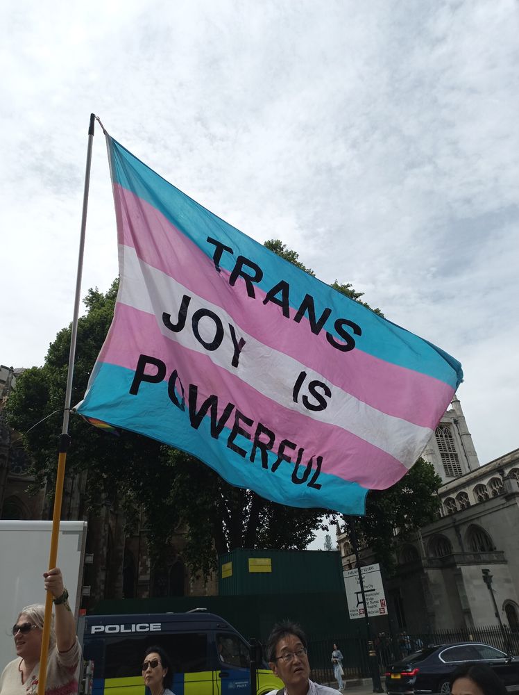 Trans flag with ""trans joy is powerful" written on it flying in the breeze 