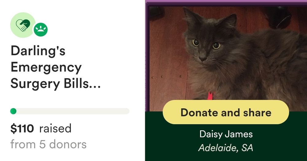 Donate to Darling's Emergency Surgery Bills #DollarsForDarling, organized by Daisy James