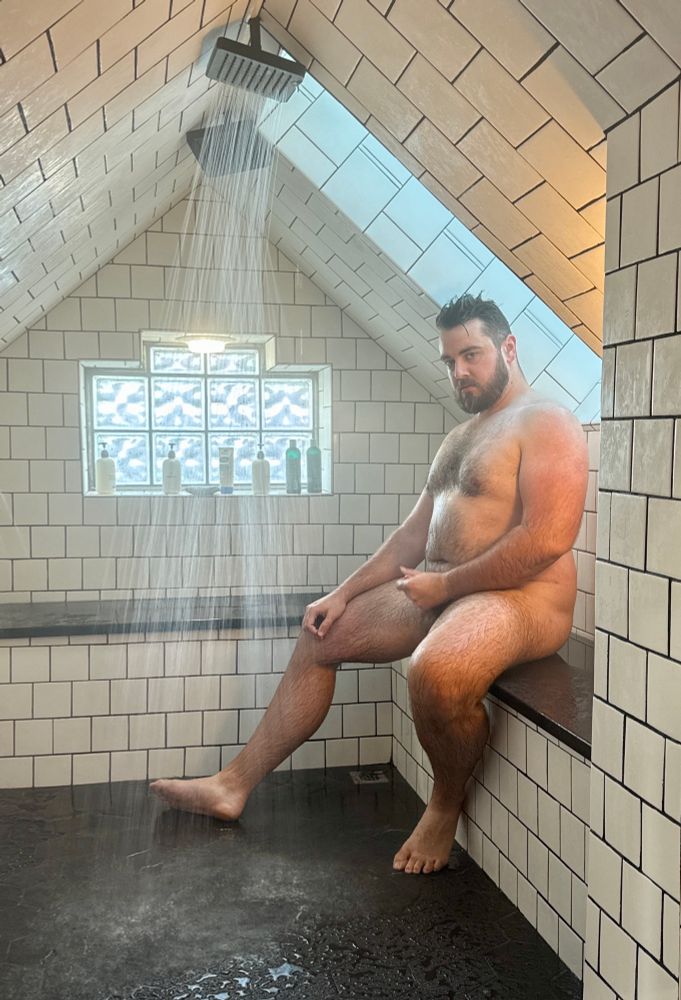 Showering bear, looking at the viewer