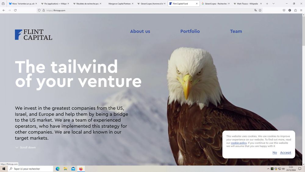 Copie d'écran d'un des fonds d'investissement de Flo : Flint Capital 

On y voit du texte "inspirant" en anglais (non mis dans le ALT) 
Et surtout on y voit un immense aigle animé 

On entend presque "MEURICAAAA" en fond