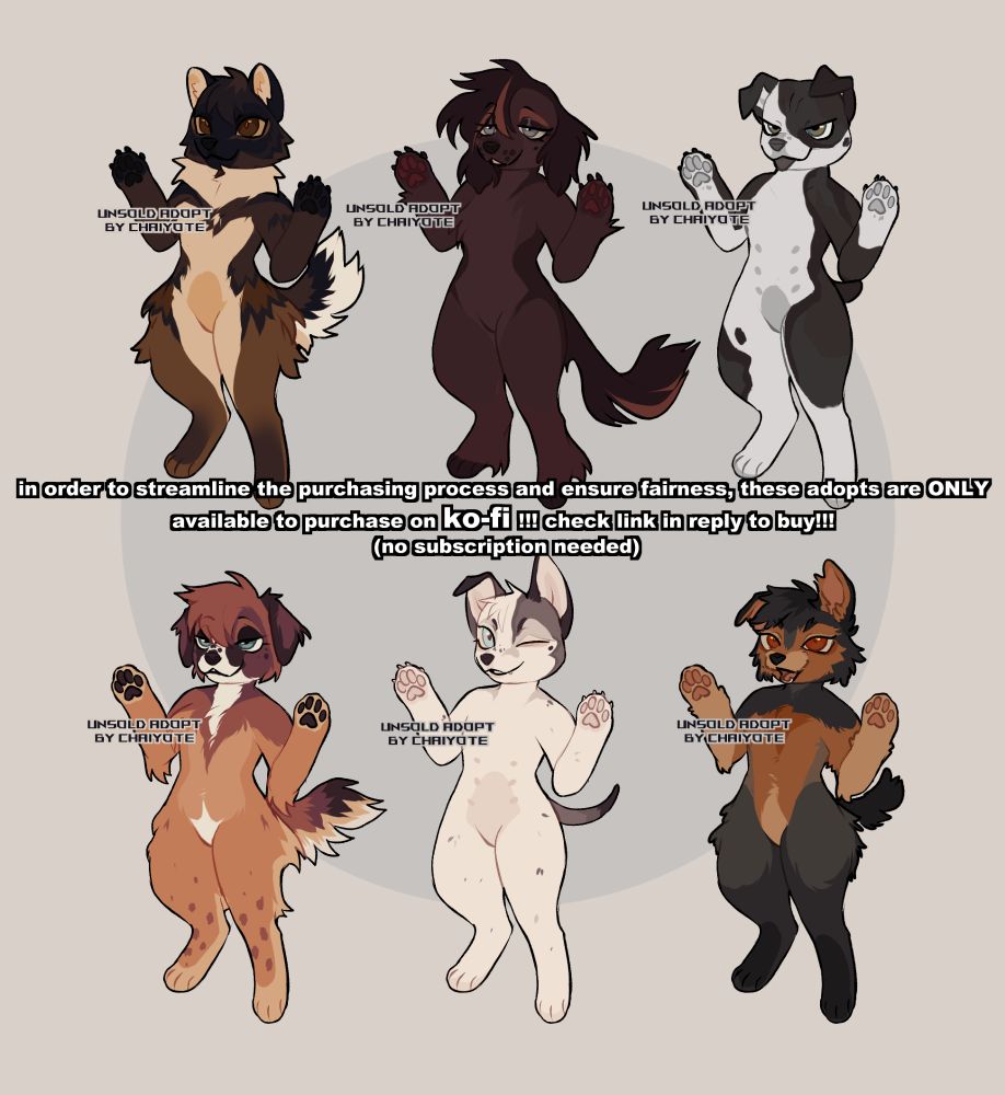 Dog adoptable batch.