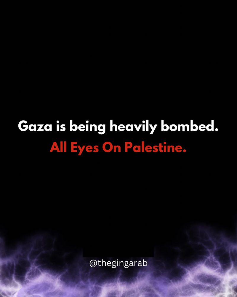 Gaza is being heavily bombed.
All Eyes On Palestine. @thegingarab