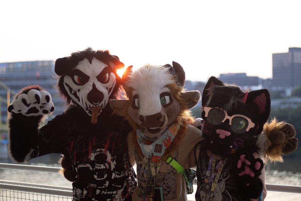 A photo of 3 fursuiters, Krak the wolf, Blanc the bison, and Darkstar the demon cat in front of a sunset. 