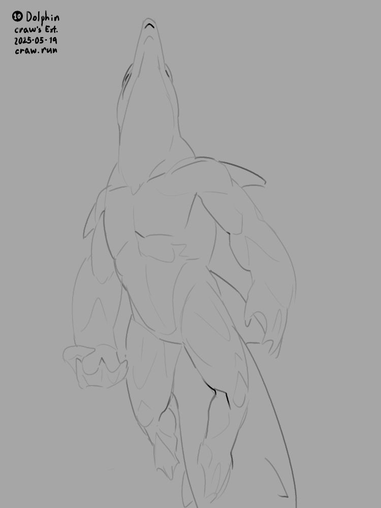 Simple sketch of an anthro Dolphin, swimming and looking up.

Labeled: 10 - Dolphin / craw's Ext. / 2025-05-19 / craw.run