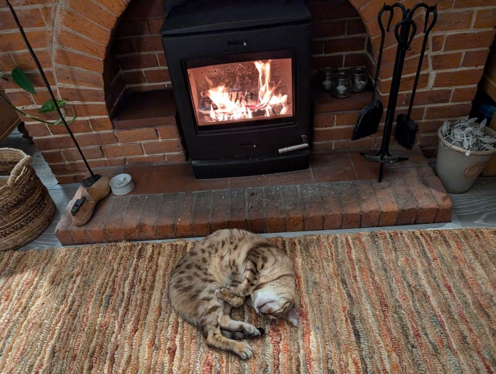 A Bengal cat curled up in front of a wood burning stove