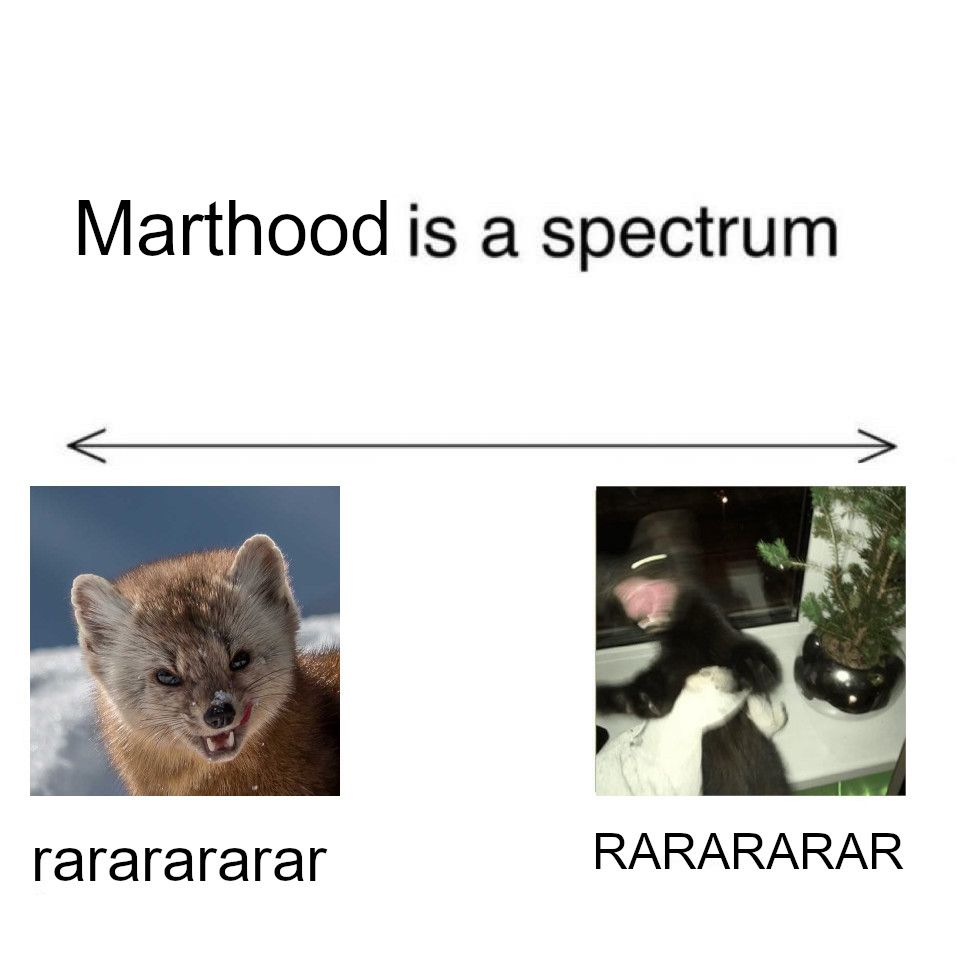 A meme reading: Marthood is a Spectrum, with a line underneath it with a arrows at both ends. On the left end is an American marten licking its chops and looking like it's scheming, captioned with "rararararar." On the right end is a blurry picture of a sable, grasped firmly, mouth open and flailing about wildly, captioned with "RARARARARARAR."
