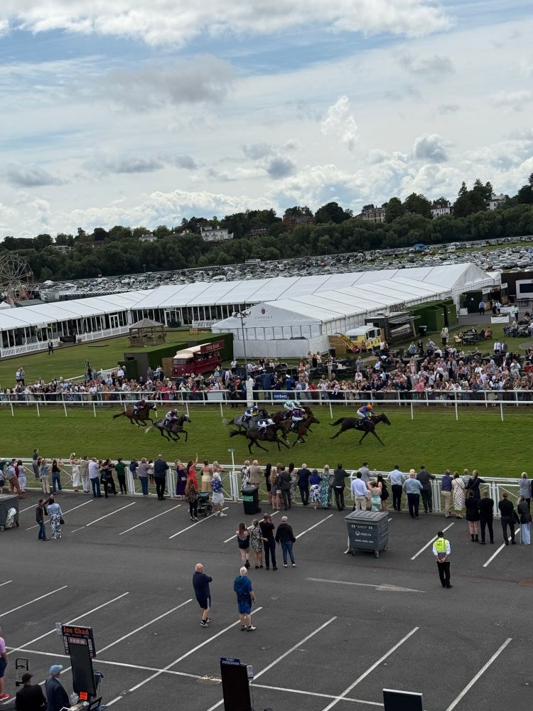Horses at Chester, finishing line. We lost🫢🥲