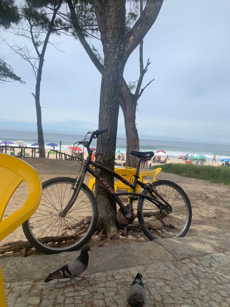 Na imagem, uma bicicleta preta, feminina, apoiada em uma árvore. Ao fundo o mar, a praia do Recreio dos bandeirantes. O céu está azul, com nuvens bem esparsas. À frente de todo esse cenário, duas pombas comem algo no calçadão.