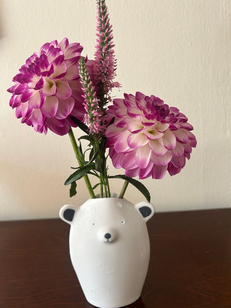 White, purple and pink flowers in a tiny vase