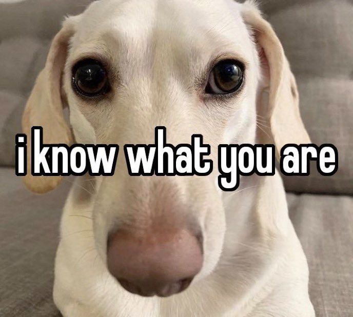 Homophobic dog meme with the text, "i know what you are"